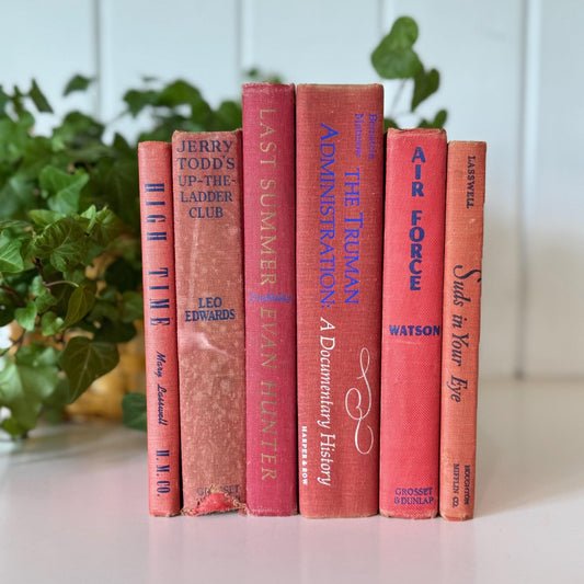 Vintage Red and Blue Mid - Century Modern Faded Decorative Books for Shabby Chic Decor - Pretty Old Books