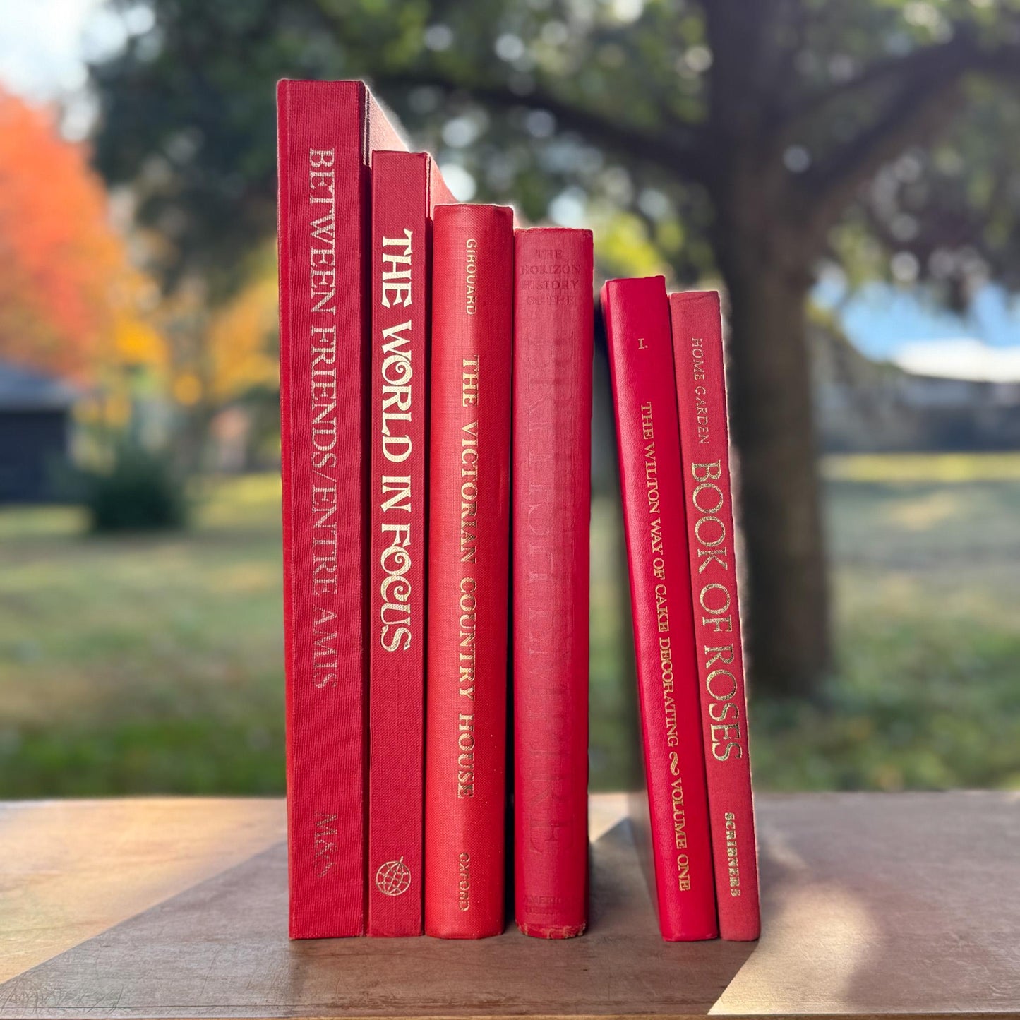 Vintage Red and Gold Coffee Table Book Bundle - Pretty Old Books
