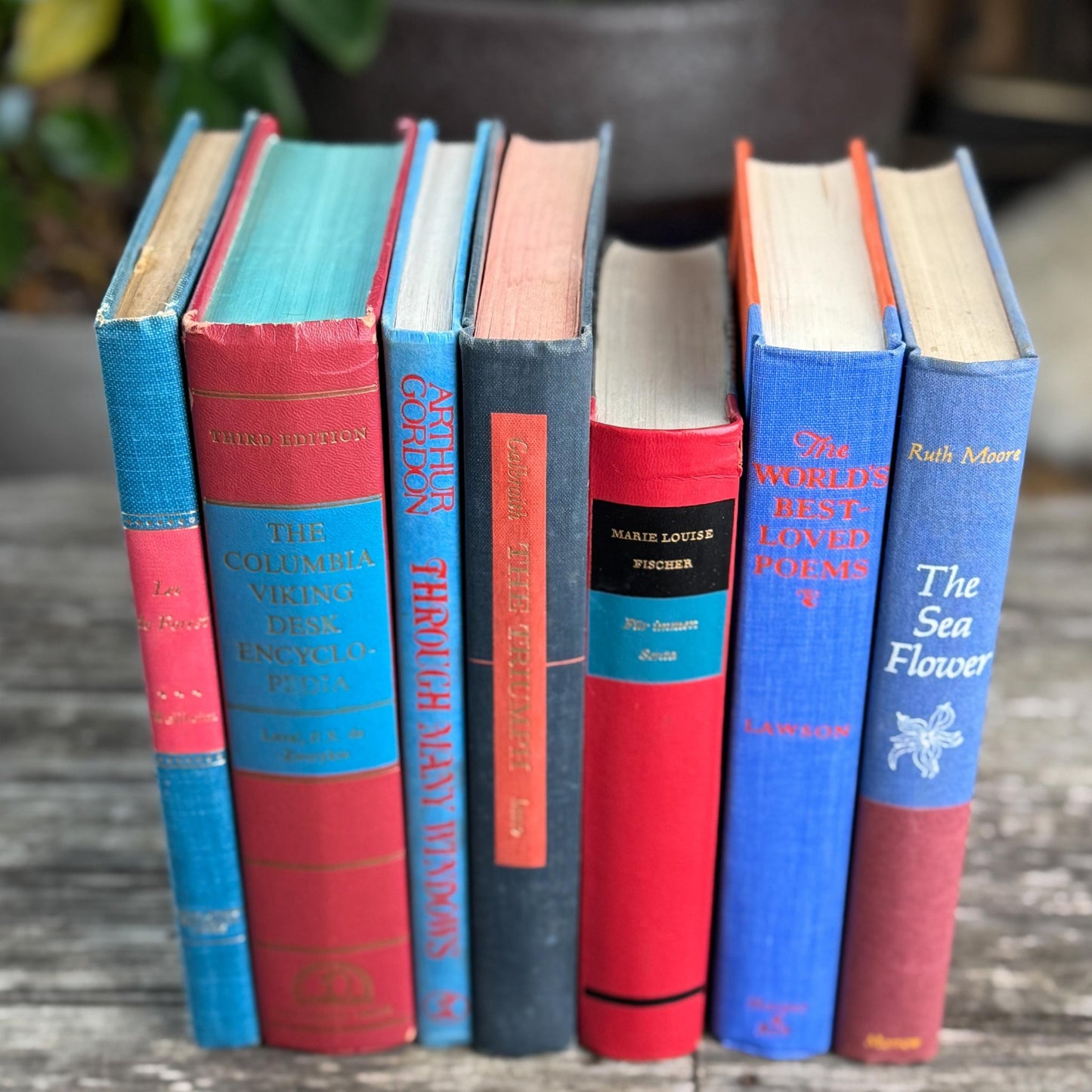 Vintage Red & Blue Book Set of Mixed Literature - Pretty Old Books