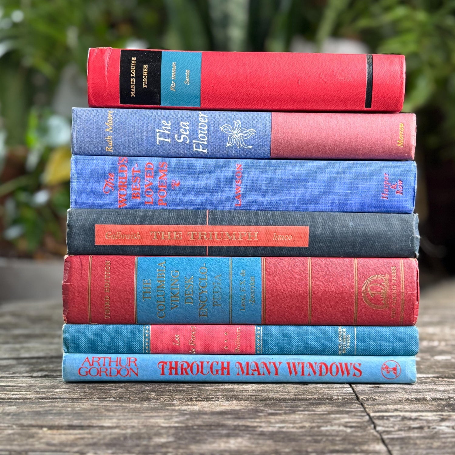 Vintage Red & Blue Book Set of Mixed Literature - Pretty Old Books