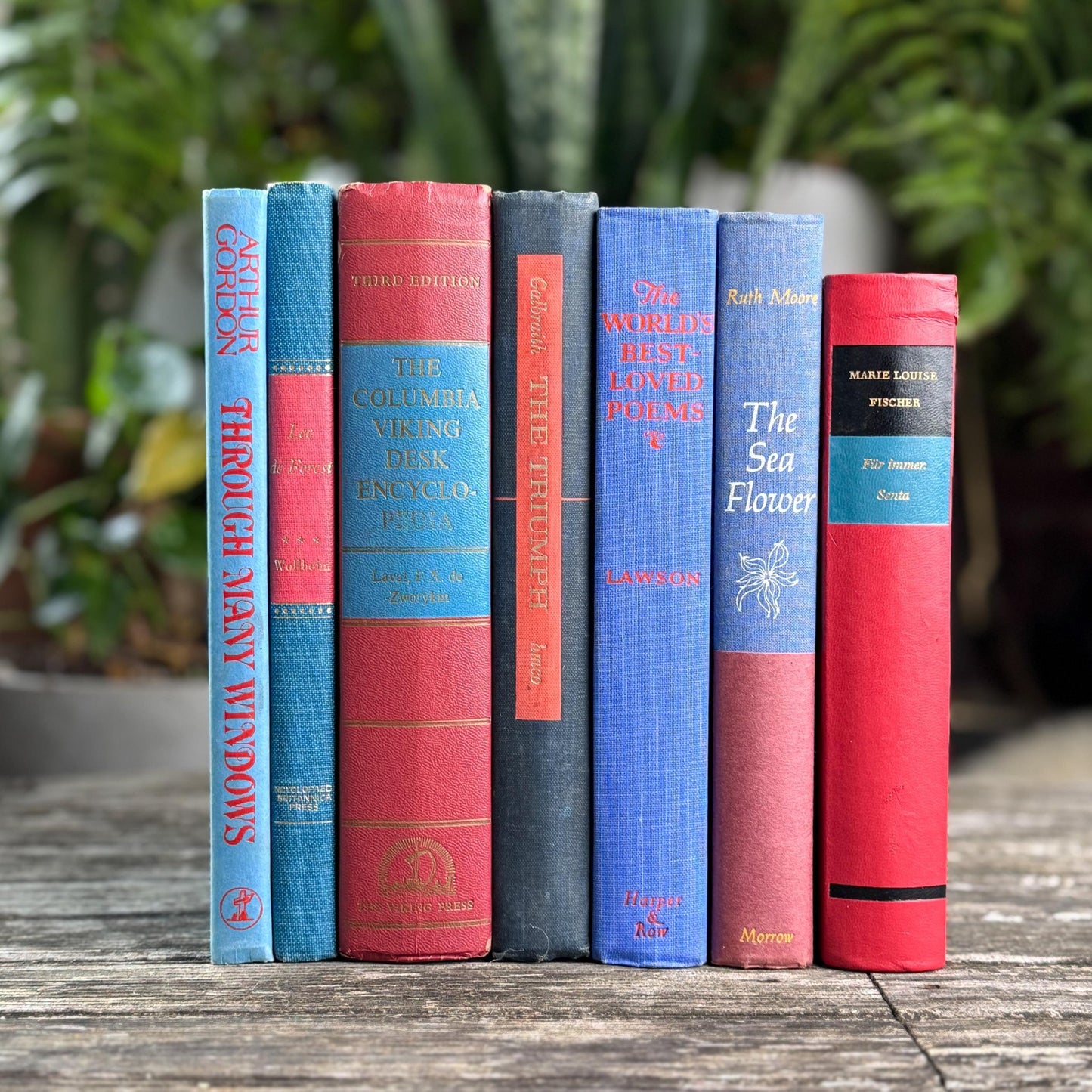 Vintage Red & Blue Book Set of Mixed Literature - Pretty Old Books