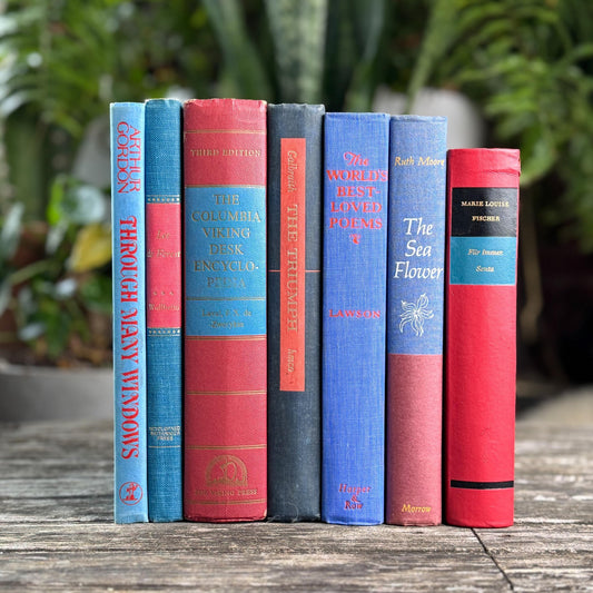 Vintage Red & Blue Book Set of Mixed Literature - Pretty Old Books