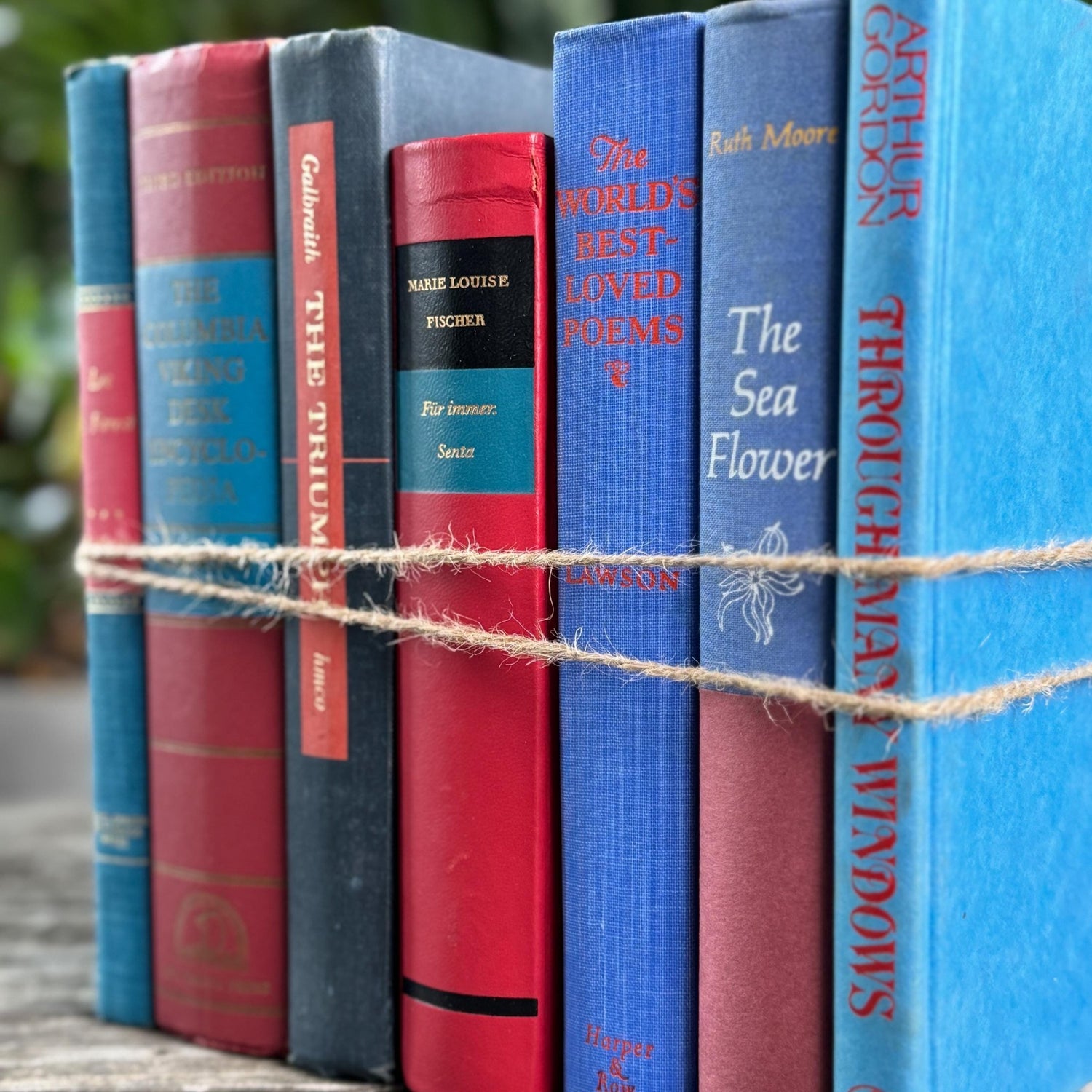 Vintage Red & Blue Book Set of Mixed Literature - Pretty Old Books