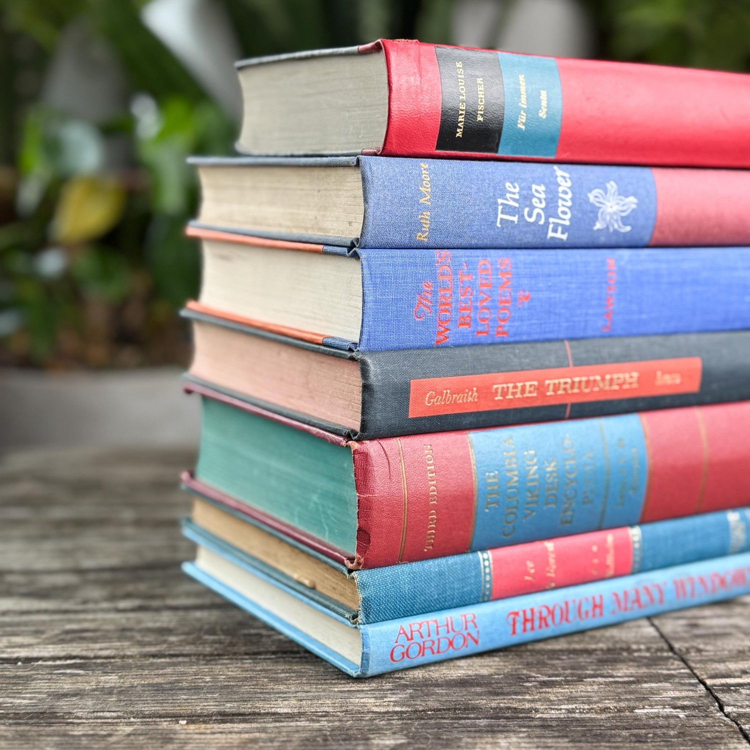 Vintage Red & Blue Book Set of Mixed Literature - Pretty Old Books