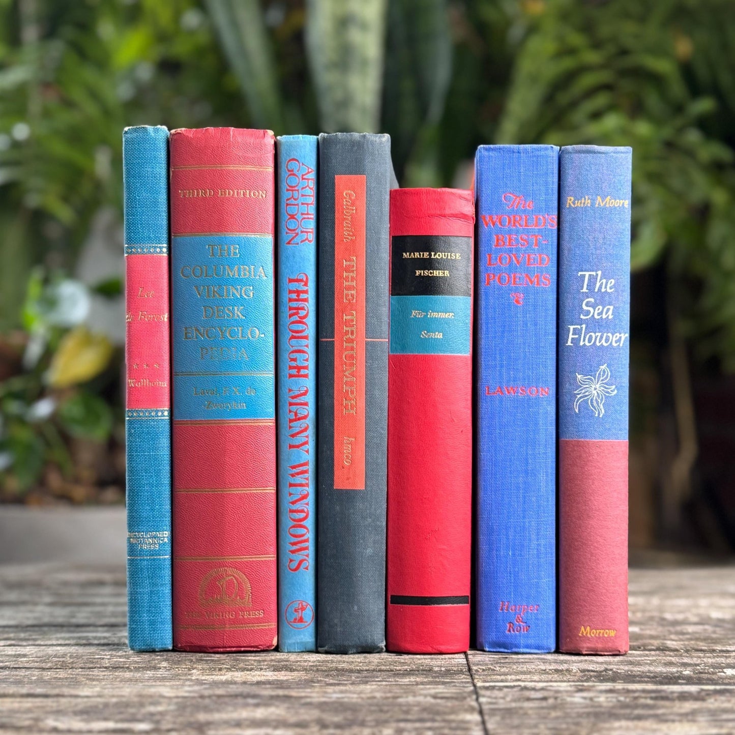 Vintage Red & Blue Book Set of Mixed Literature - Pretty Old Books