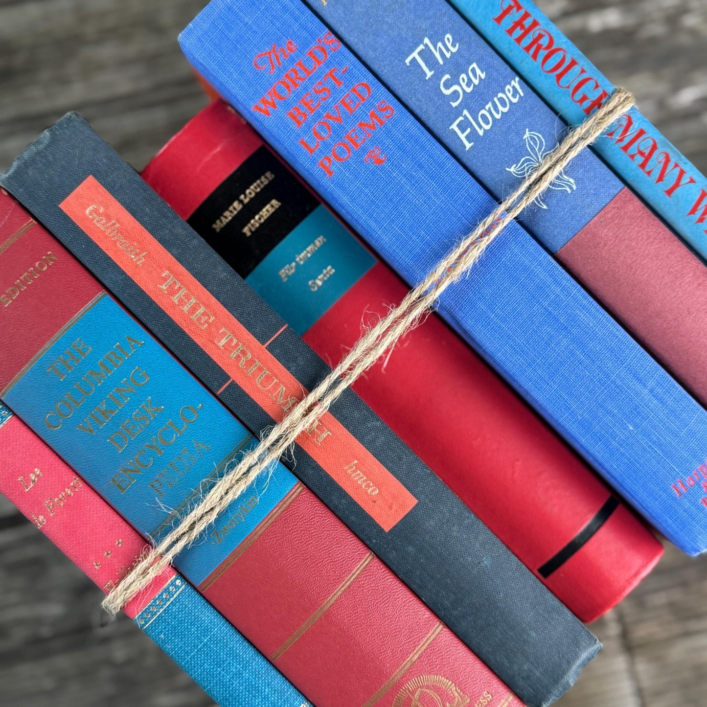 Vintage Red & Blue Book Set of Mixed Literature - Pretty Old Books