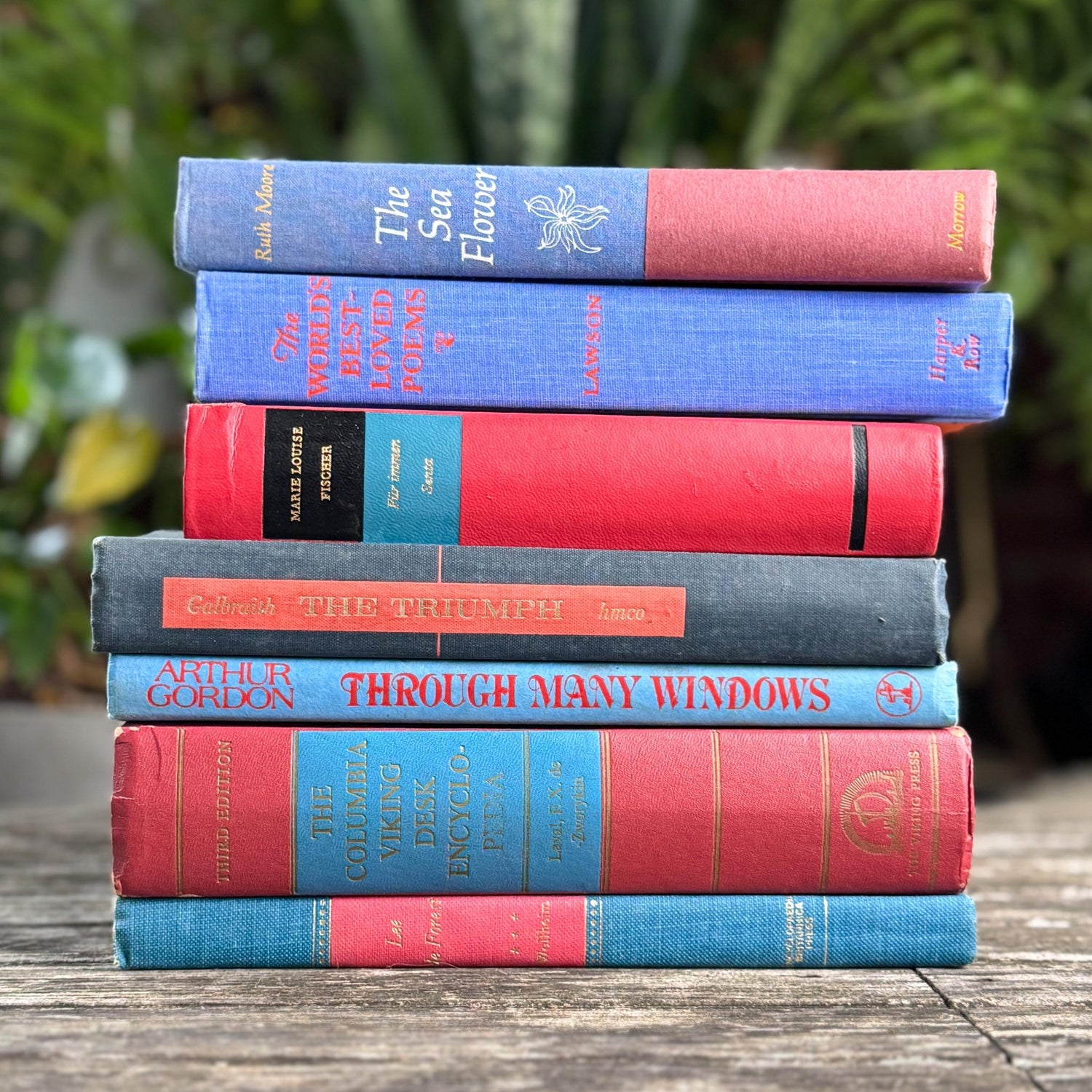 Vintage Red & Blue Book Set of Mixed Literature - Pretty Old Books