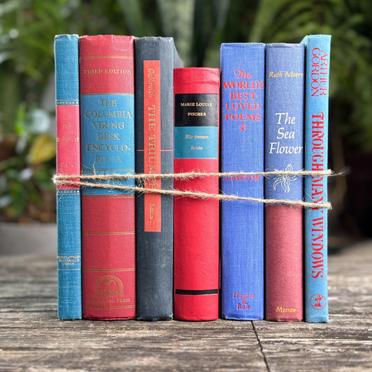 Vintage Red & Blue Book Set of Mixed Literature - Pretty Old Books