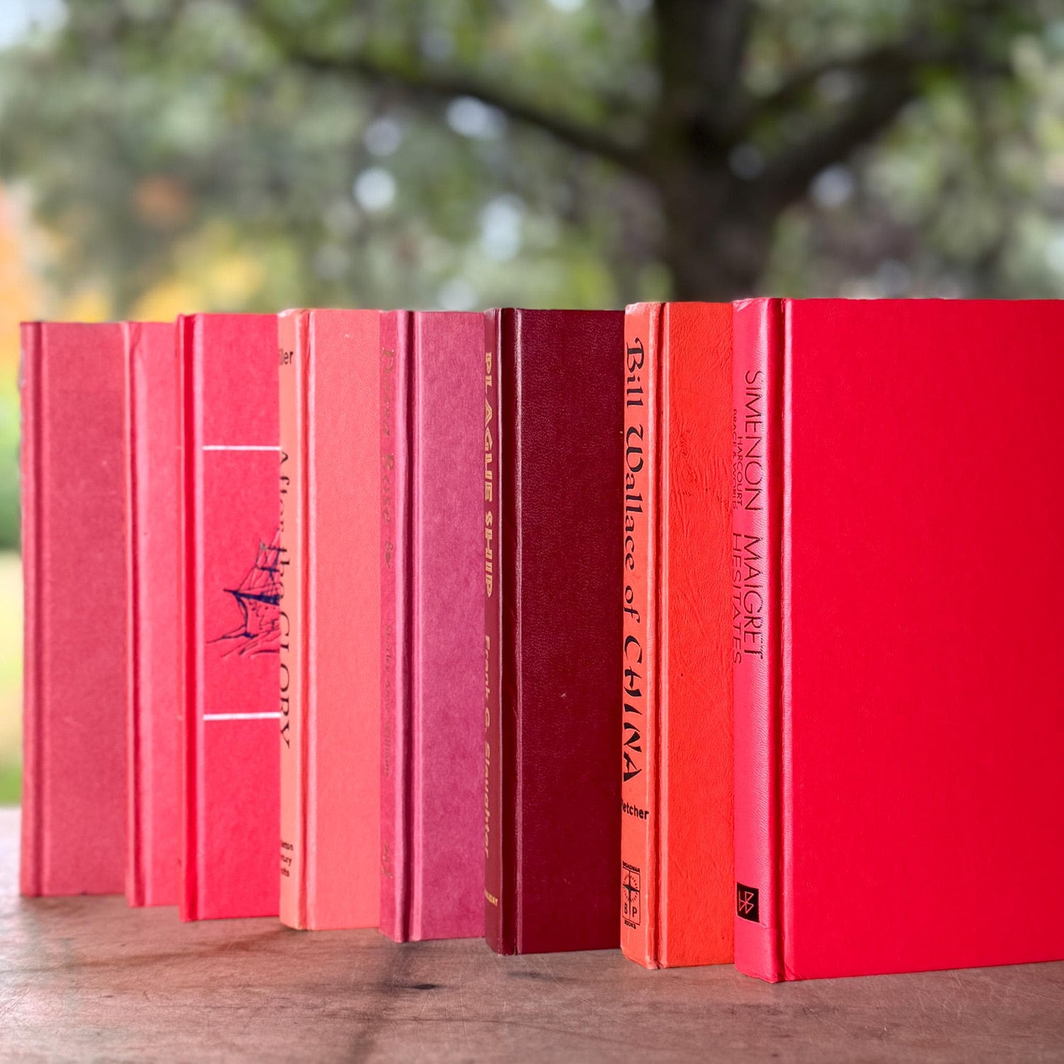 Vintage Red, Crimson, Pink, Ruby Retro Book Bundle - Pretty Old Books