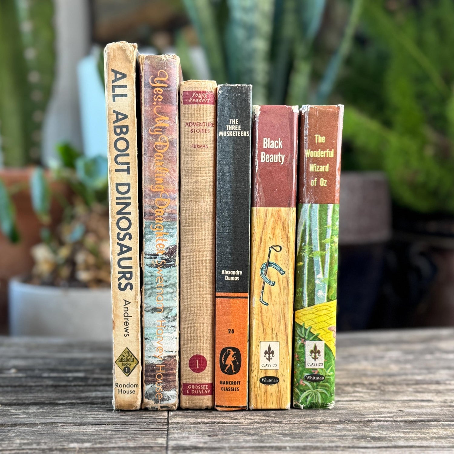 Vintage Rustic Neutral Children's Book Bundle For Shelf Styling - Pretty Old Books