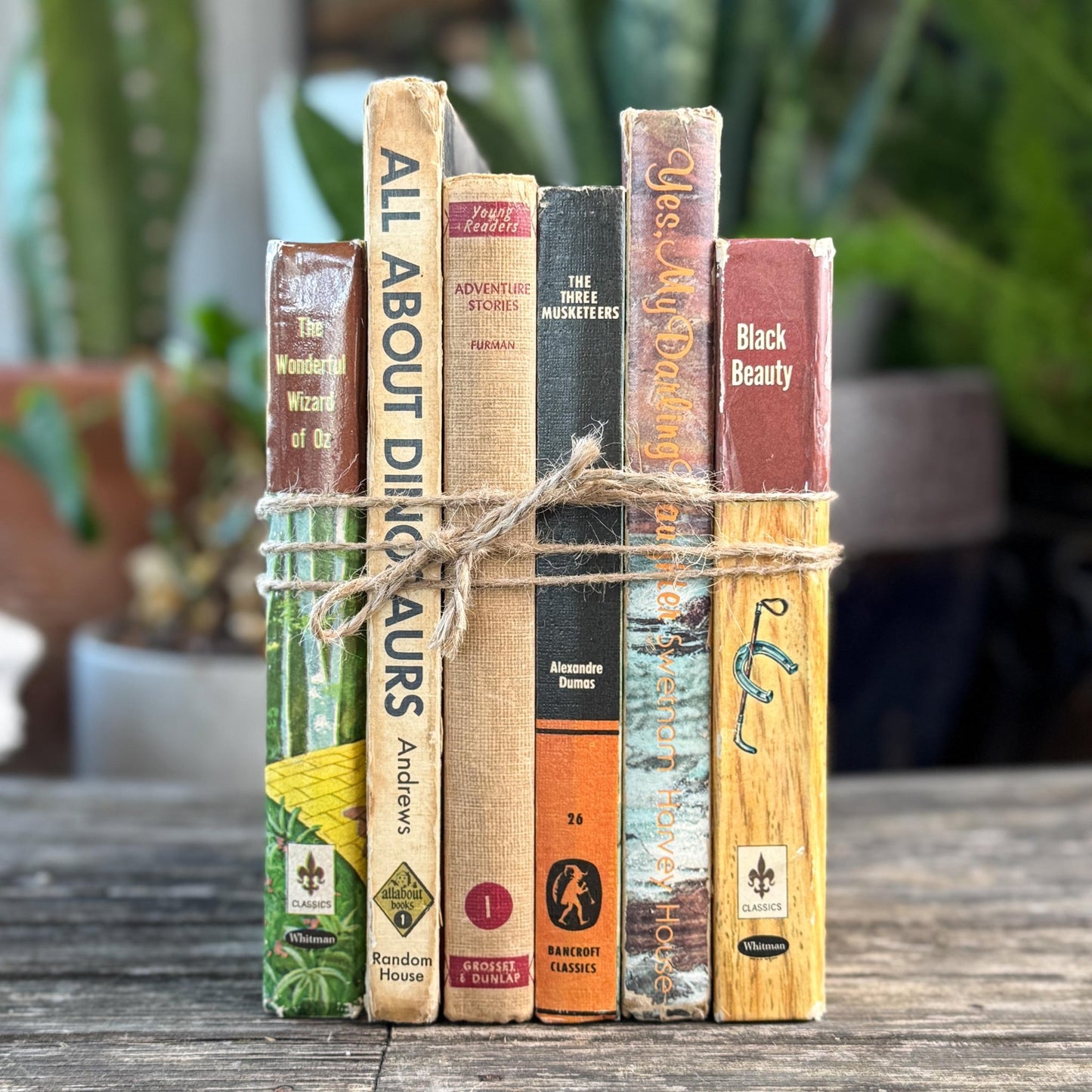 Vintage Rustic Neutral Children's Book Bundle For Shelf Styling - Pretty Old Books