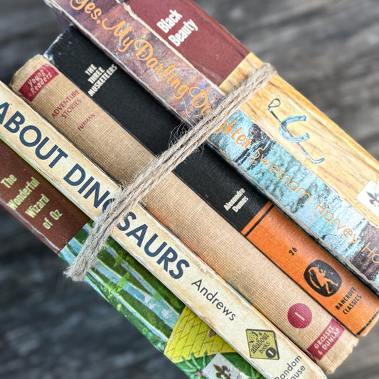 Vintage Rustic Neutral Children's Book Bundle For Shelf Styling - Pretty Old Books