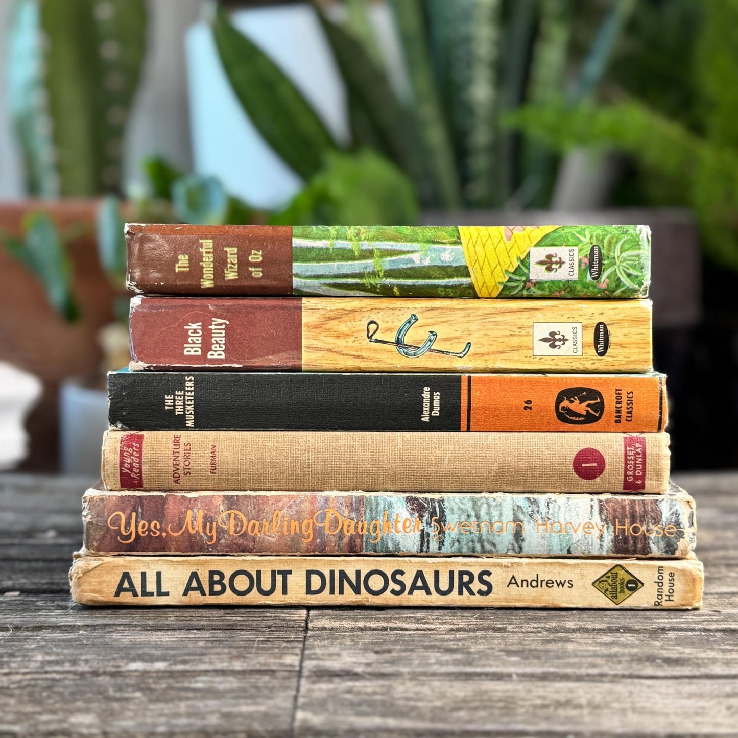 Vintage Rustic Neutral Children's Book Bundle For Shelf Styling - Pretty Old Books