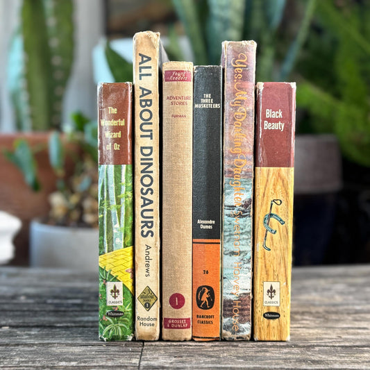 Vintage Rustic Neutral Children's Book Bundle For Shelf Styling - Pretty Old Books