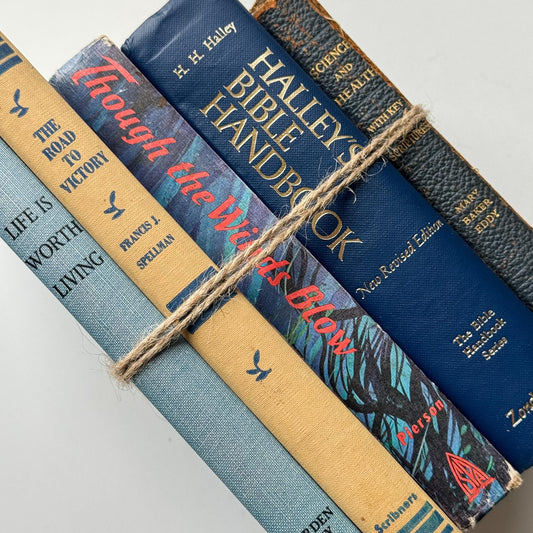 Vintage Small Mixed Blue Faith Based Books for Decor - Pretty Old Books