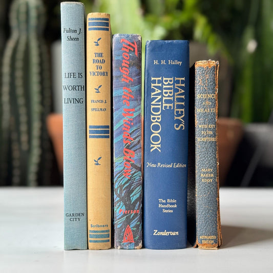 Vintage Small Mixed Blue Faith Based Books for Decor - Pretty Old Books