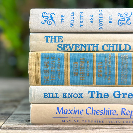 Vintage Tan, Gray, and Blue Book Set for Feminine Mid Century Shelf Styling - Pretty Old Books