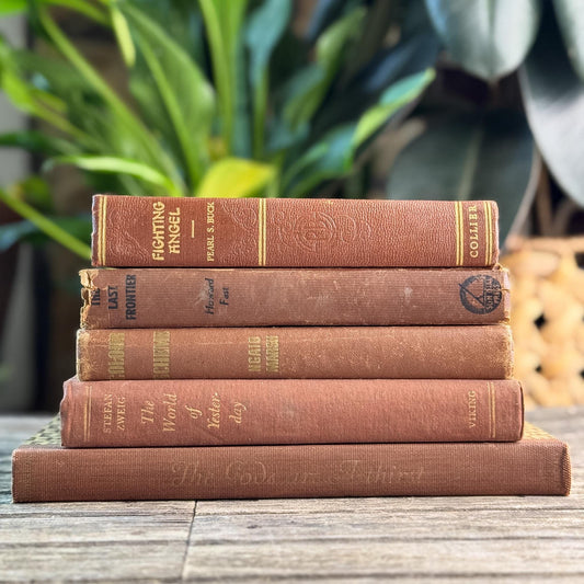 Vintage Terra Cotta and Brown Books for Shelf Styling - Pretty Old Books