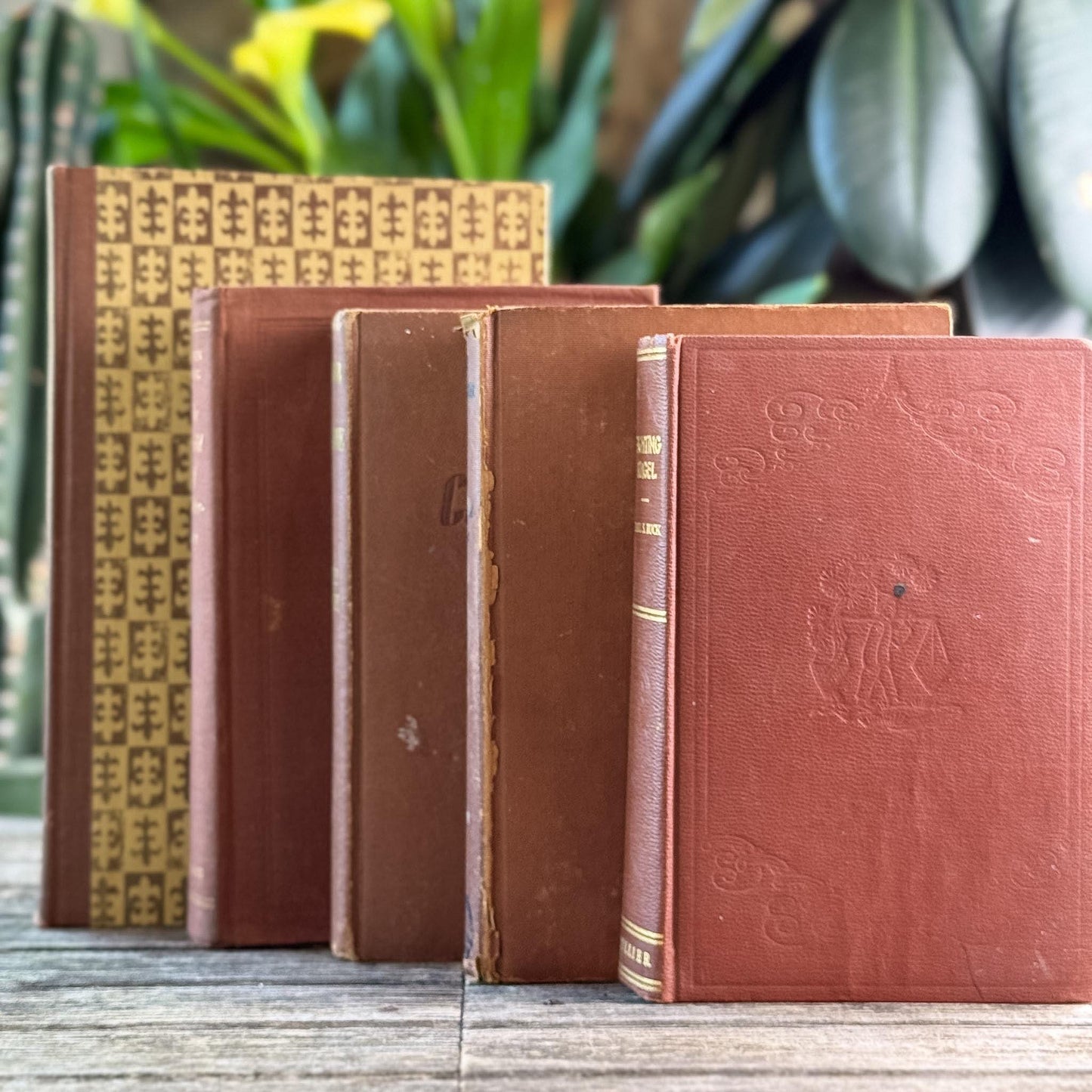 Vintage Terra Cotta and Brown Books for Shelf Styling - Pretty Old Books