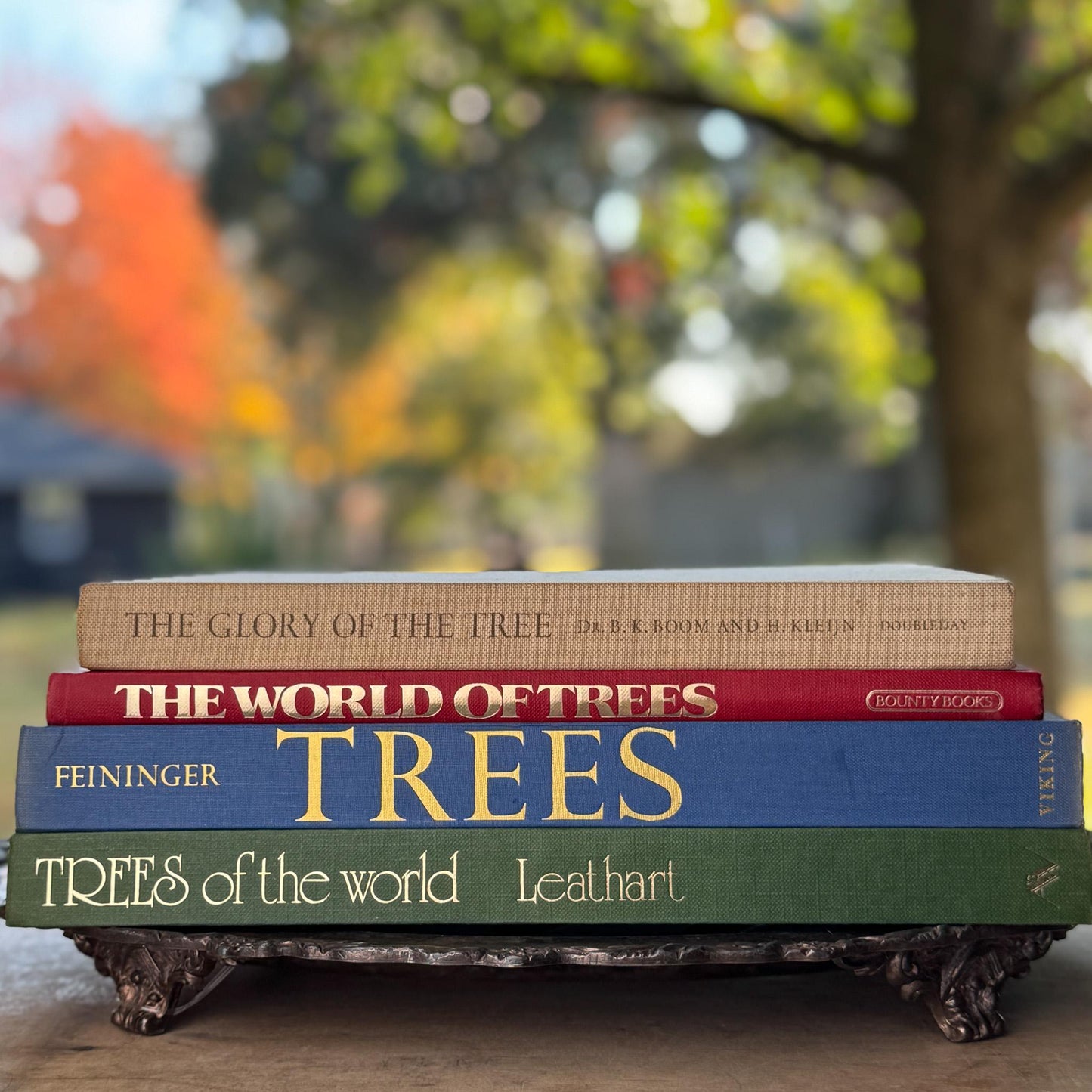Vintage Tree - Themed Coffee Table Book Bundle - Pretty Old Books