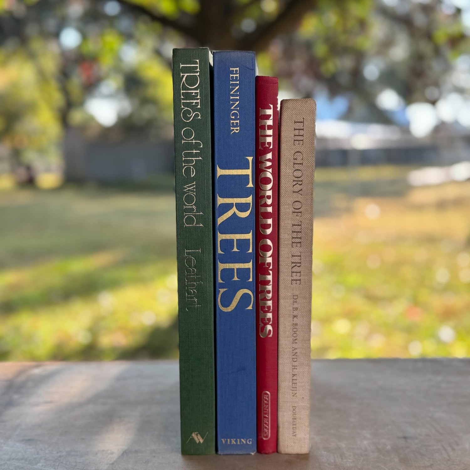 Vintage Tree - Themed Coffee Table Book Bundle - Pretty Old Books