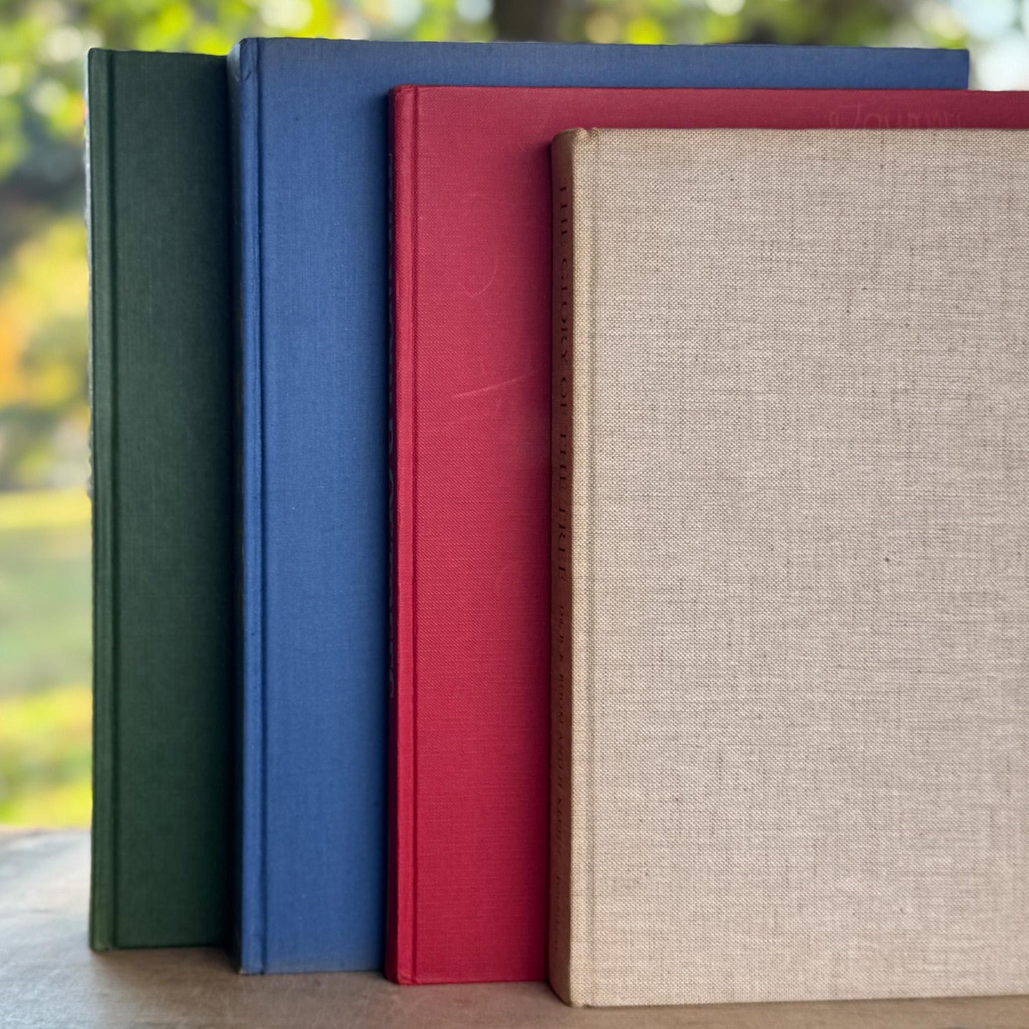 Vintage Tree - Themed Coffee Table Book Bundle - Pretty Old Books