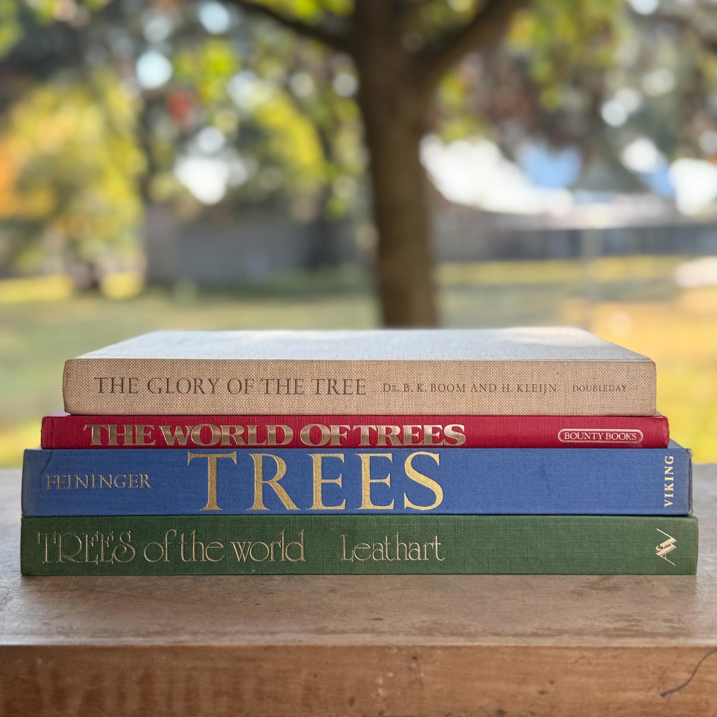 Vintage Tree - Themed Coffee Table Book Bundle - Pretty Old Books