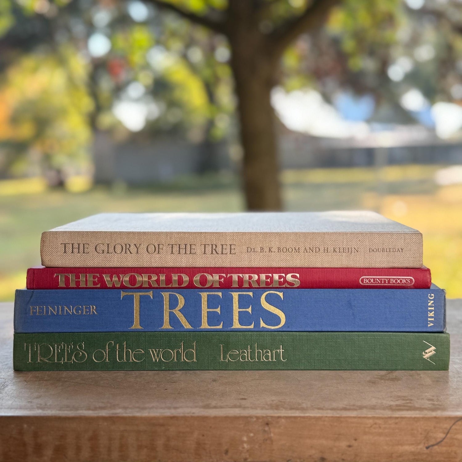 Vintage Tree - Themed Coffee Table Book Bundle - Pretty Old Books