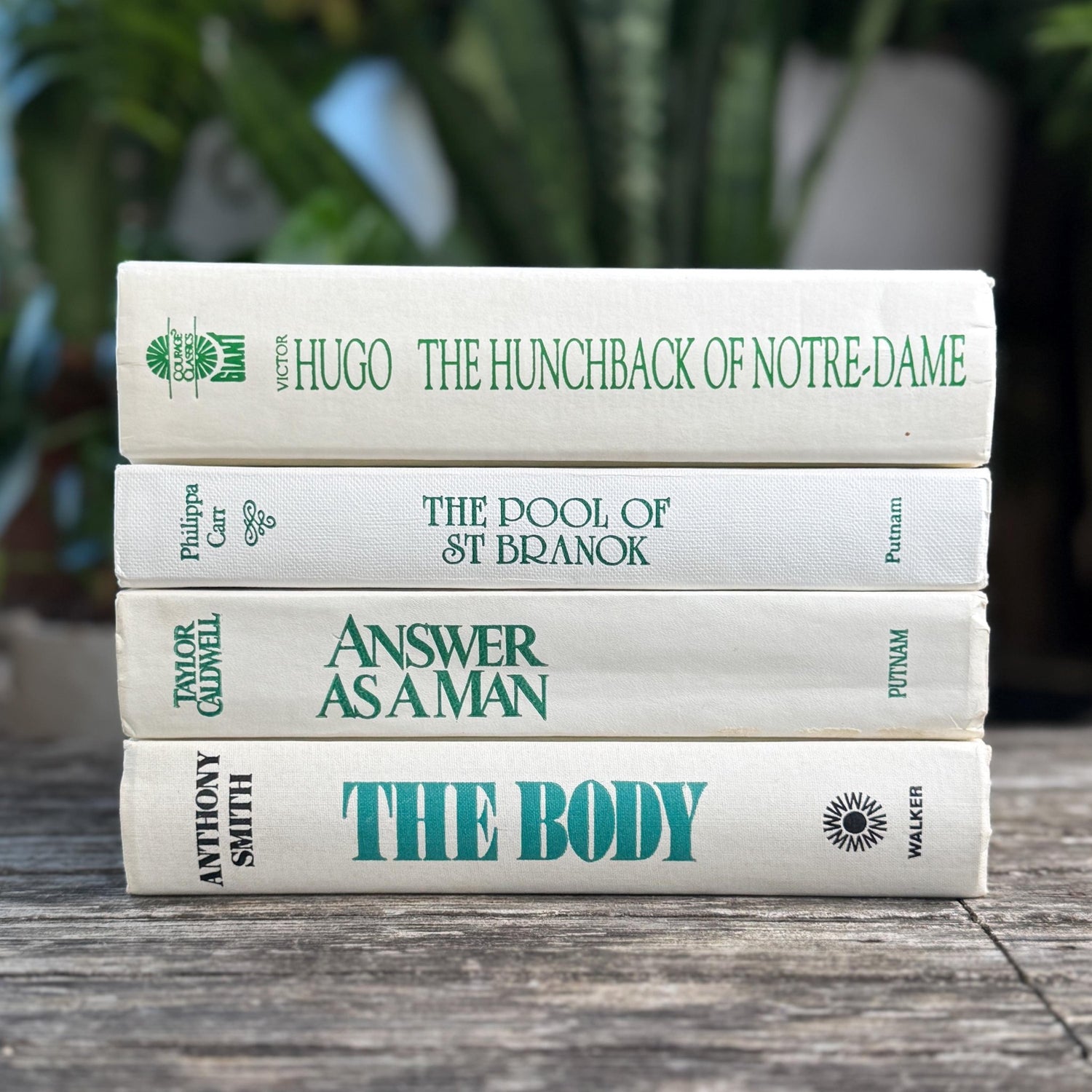 Vintage White Teal Book Set, Classic Literature Hardcovers - Pretty Old Books