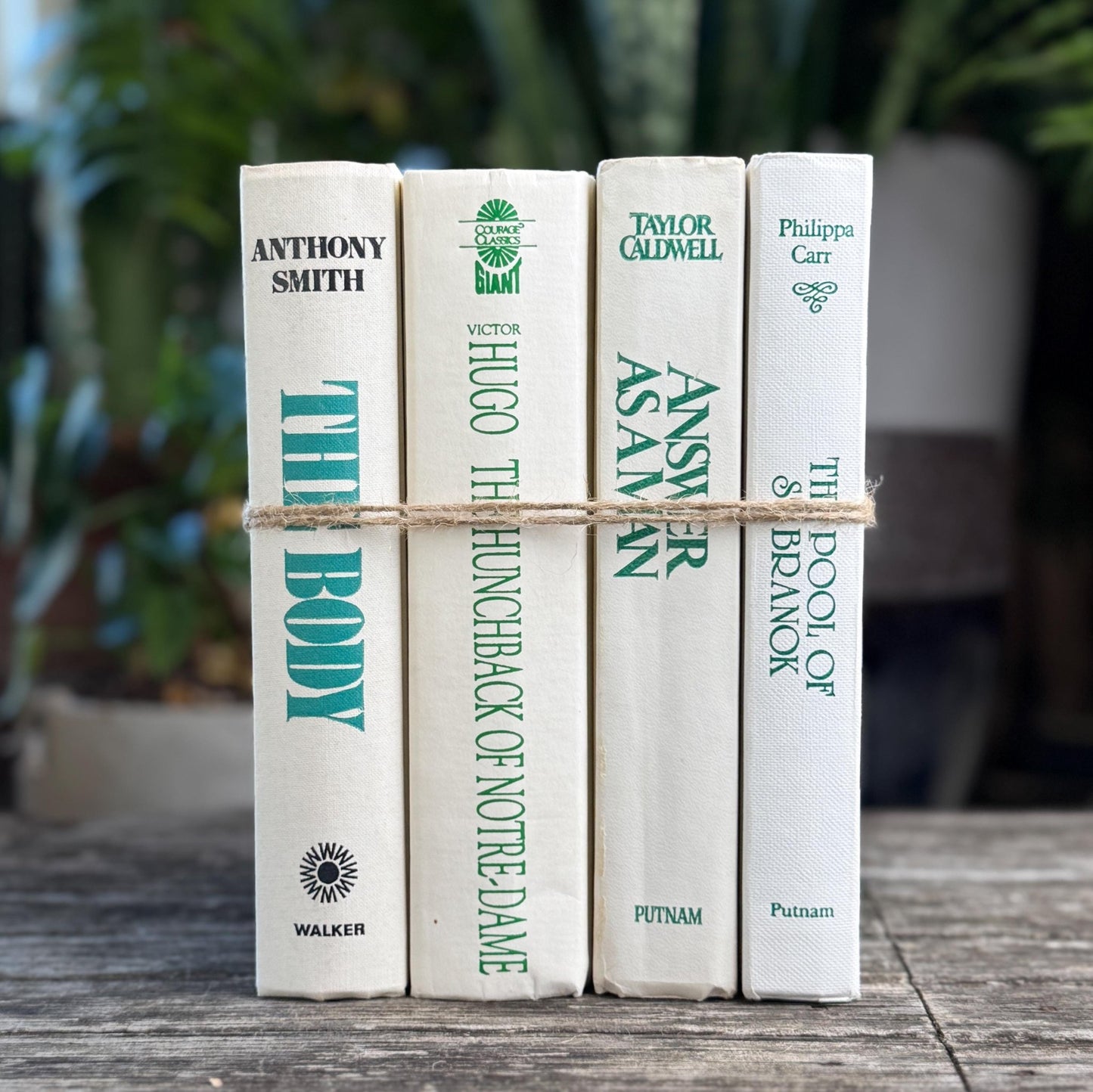Vintage White Teal Book Set, Classic Literature Hardcovers - Pretty Old Books