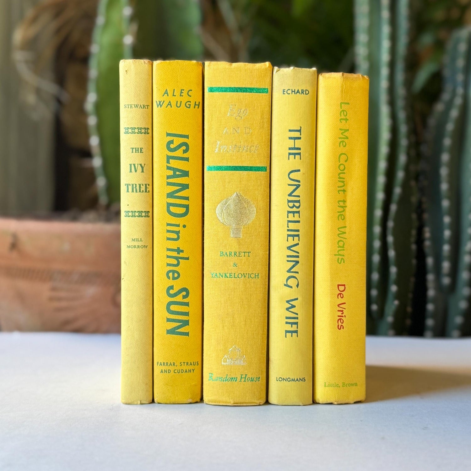 Yellow Vintage Book Bundles