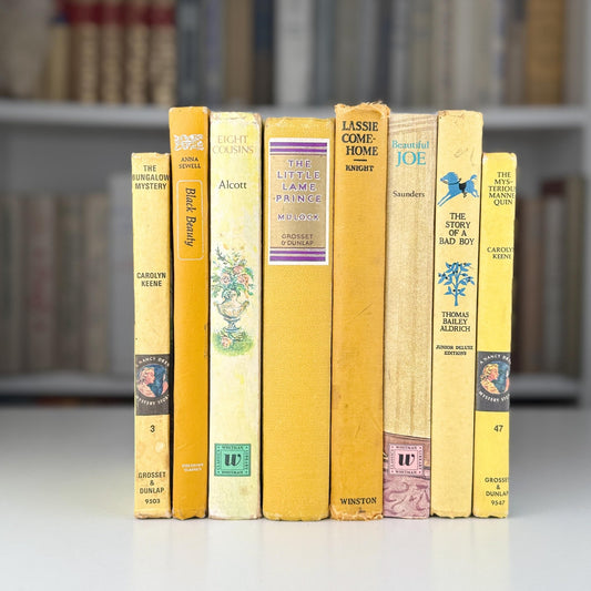 Vintage Yellow and Mustard Children's Book Set for Shelf Styling - Pretty Old Books