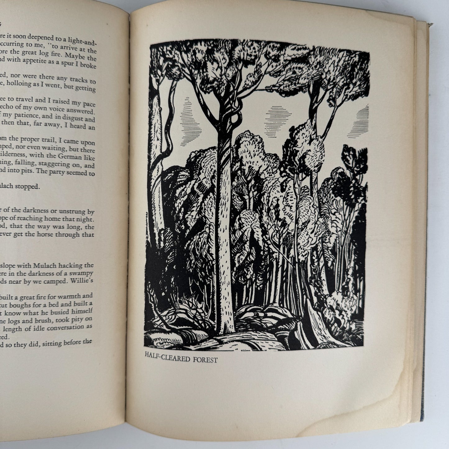 Voyaging Southward From The Strait of Magellan, Rockwell Kent, 1924, 4th Printing - Pretty Old Books