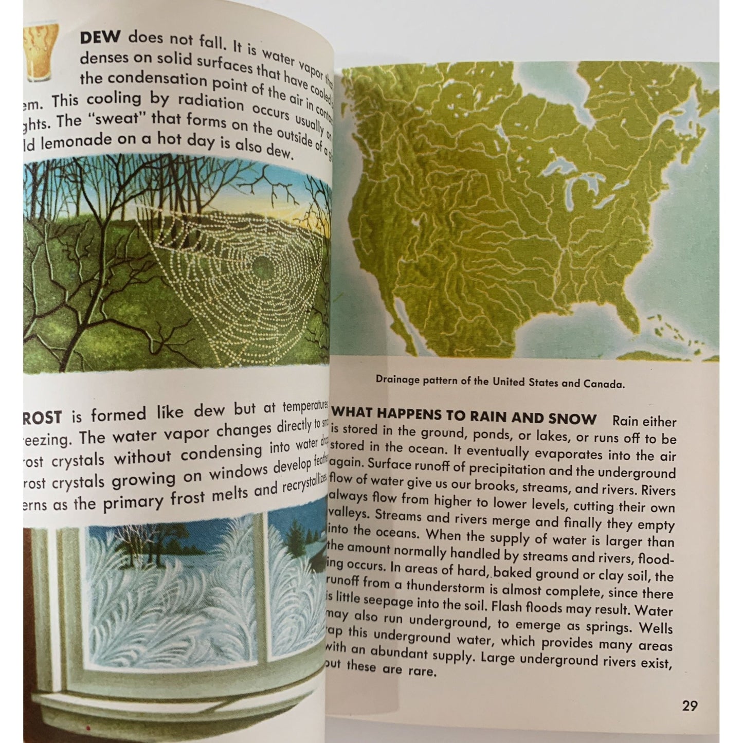 Weather: A Golden Guide to Phenomena and Forecasts 1957 Paperback - Pretty Old Books