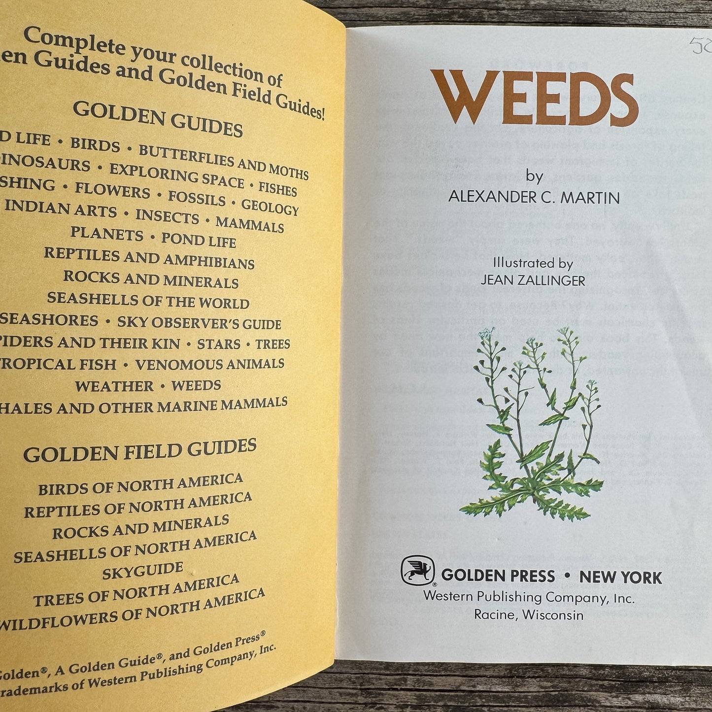 Weeds, A Golden Guide, 1987 - Pretty Old Books