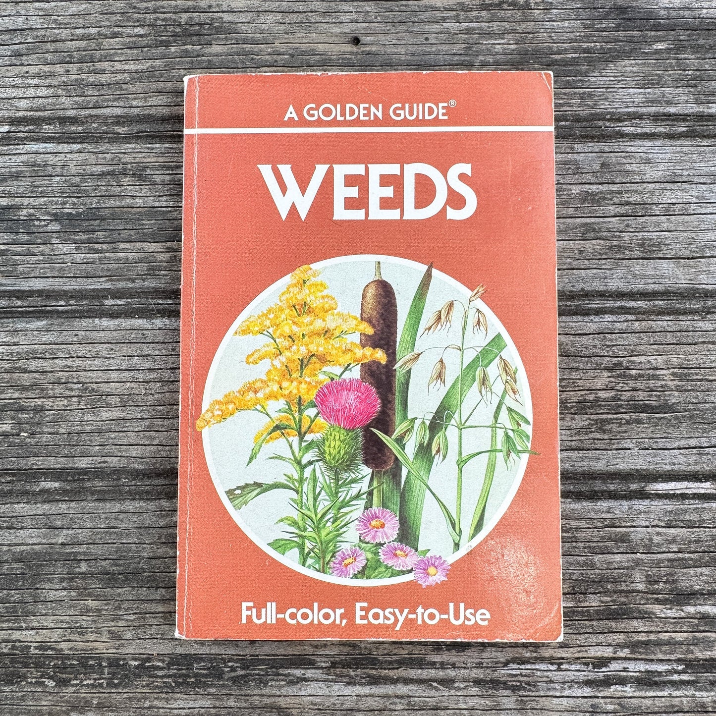 Weeds, A Golden Guide, 1987 - Pretty Old Books