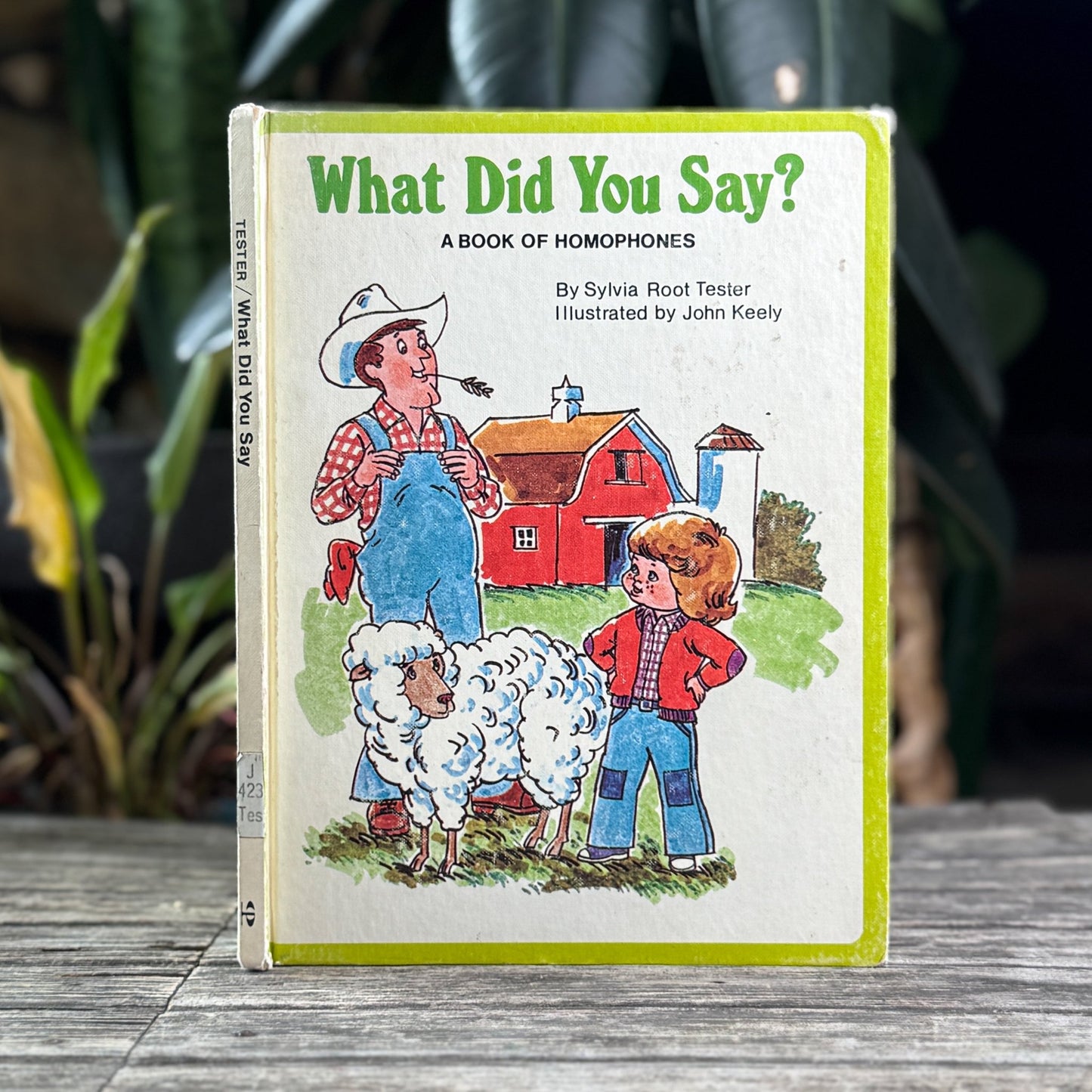 What Did You Say? A Book of Homophones, 1977 - Pretty Old Books