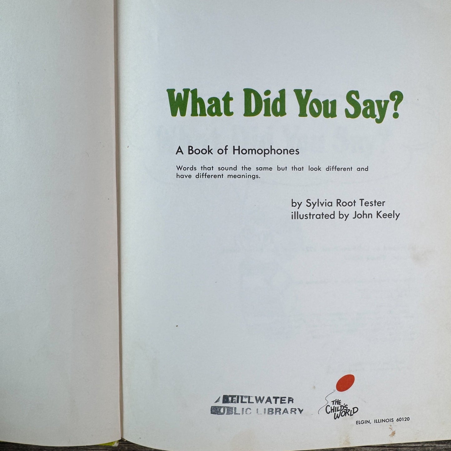 What Did You Say? A Book of Homophones, 1977 - Pretty Old Books