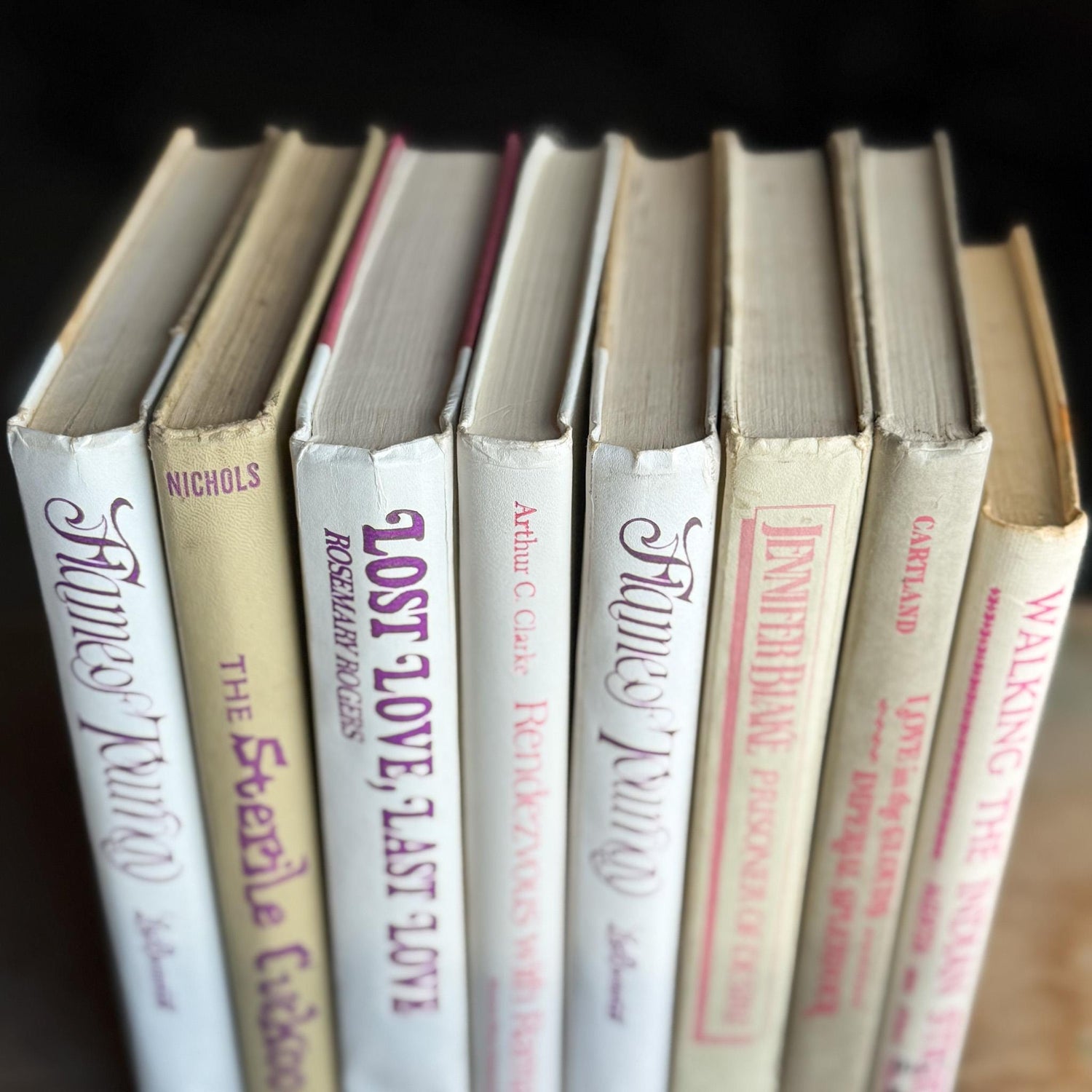 White, Beige, and Purple Vintage Book Set for Shelf Styling, Retro Purple Lettering - Pretty Old Books