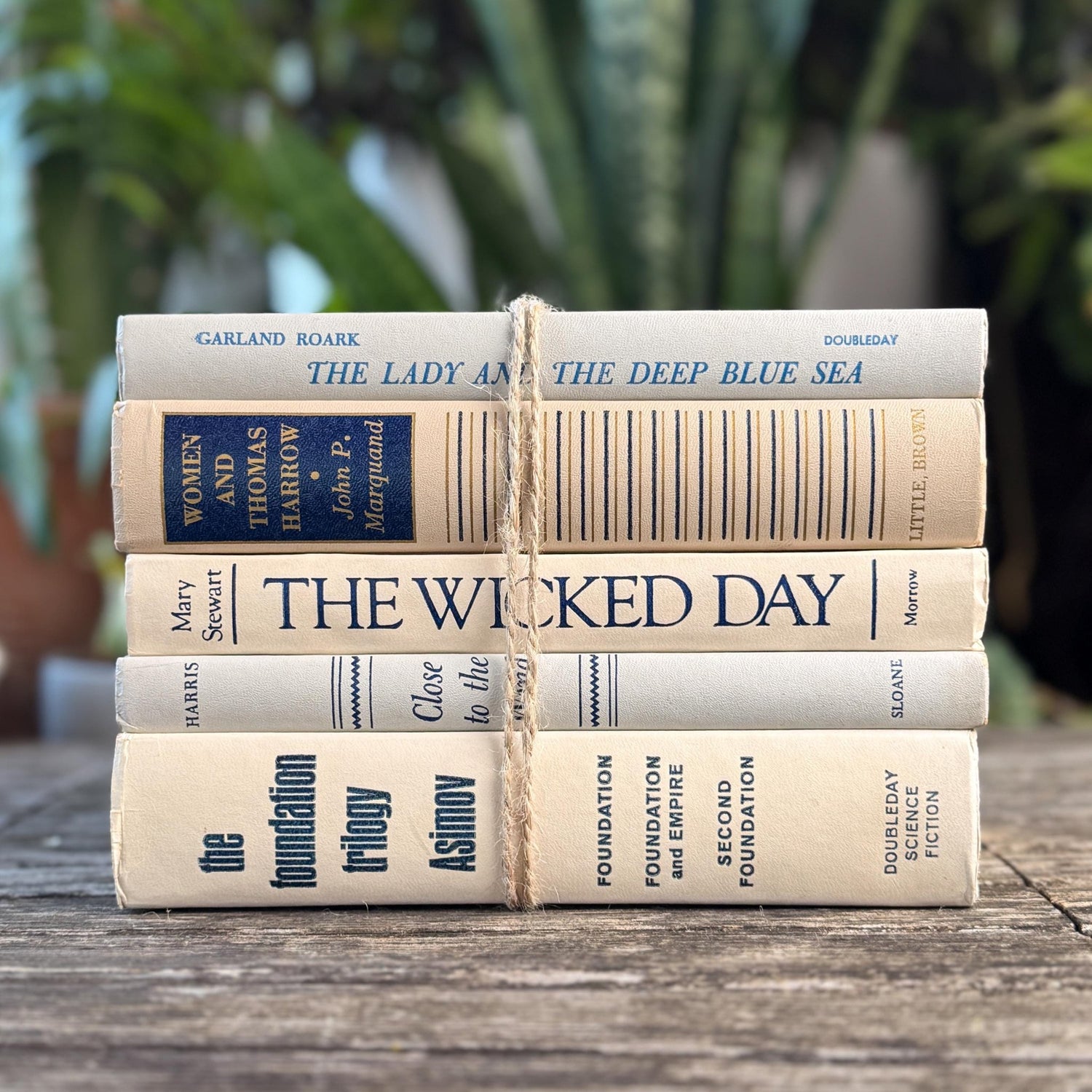 White, Beige, Gray, Blue Vintage Book Set for Mid Century Modern Shelf Styling - Pretty Old Books