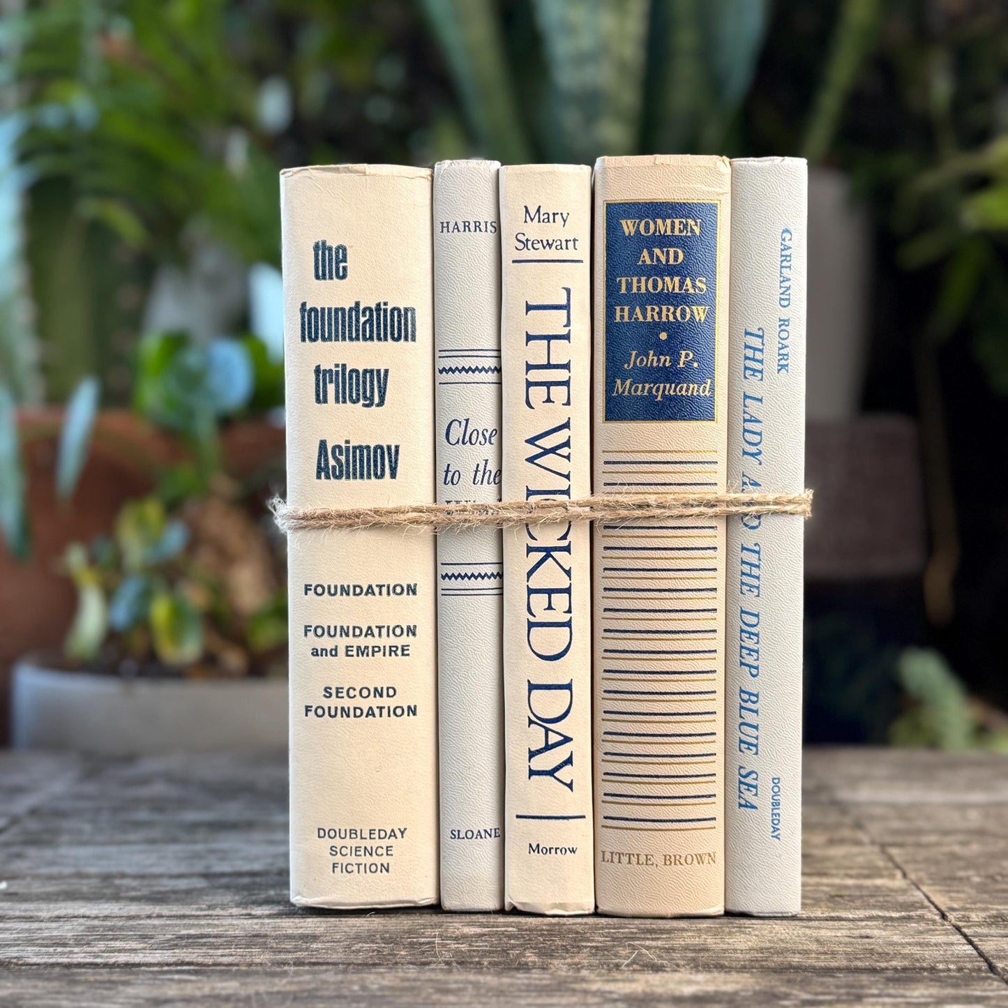 White, Beige, Gray, Blue Vintage Book Set for Mid Century Modern Shelf Styling - Pretty Old Books