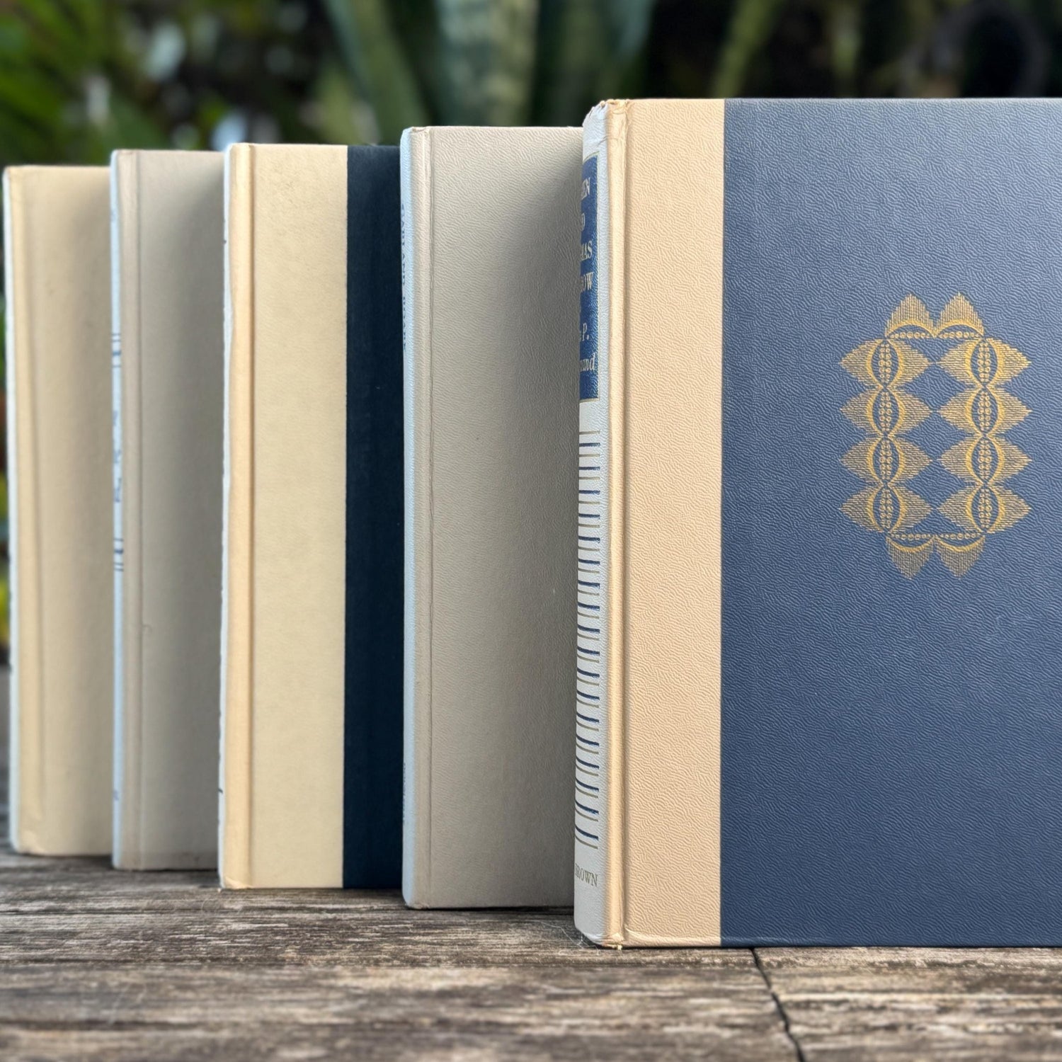 White, Beige, Gray, Blue Vintage Book Set for Mid Century Modern Shelf Styling - Pretty Old Books