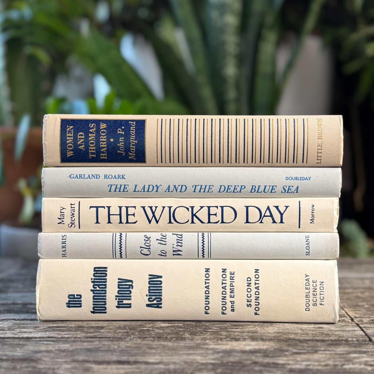 White, Beige, Gray, Blue Vintage Book Set for Mid Century Modern Shelf Styling - Pretty Old Books