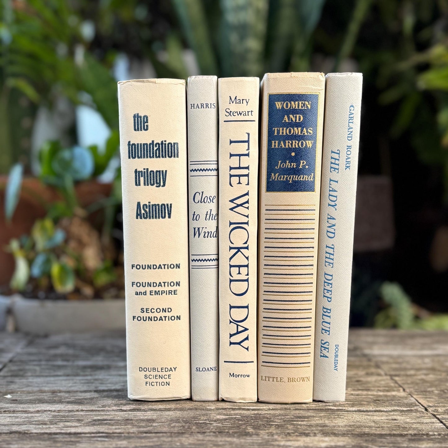 White, Beige, Gray, Blue Vintage Book Set for Mid Century Modern Shelf Styling - Pretty Old Books