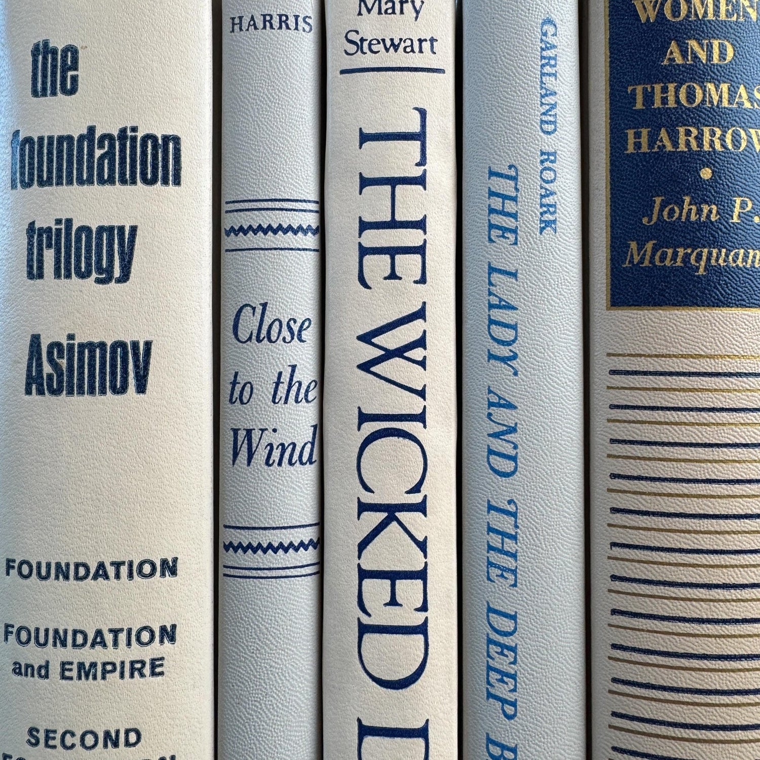 White, Beige, Gray, Blue Vintage Book Set for Mid Century Modern Shelf Styling - Pretty Old Books