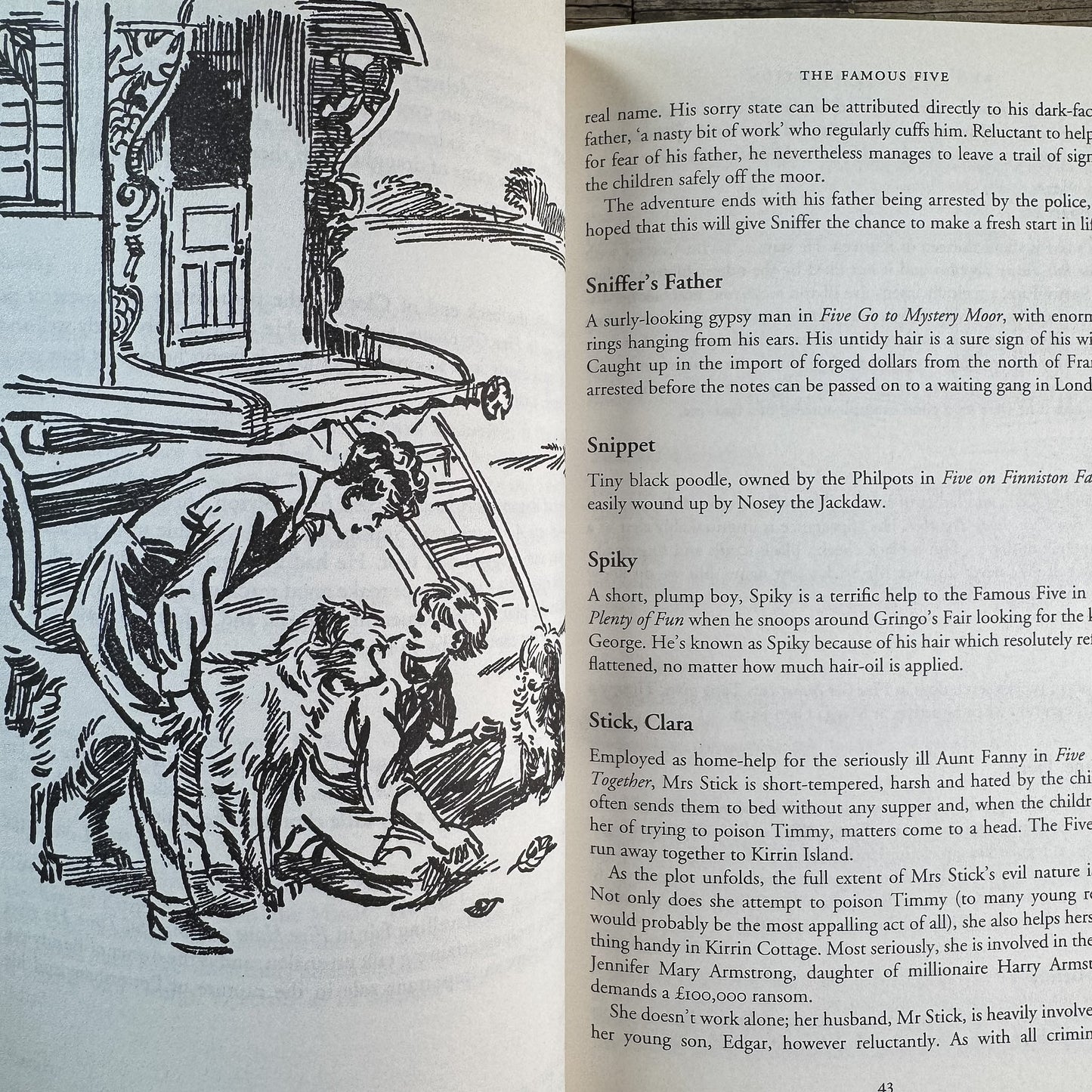 Who's Who in Enid Blyton, Eva Rice, 2003 - Pretty Old Books