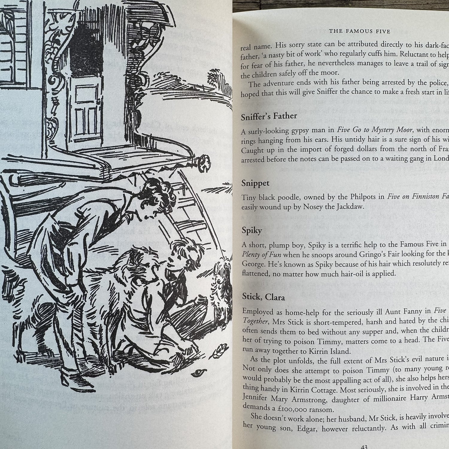 Who's Who in Enid Blyton, Eva Rice, 2003 - Pretty Old Books