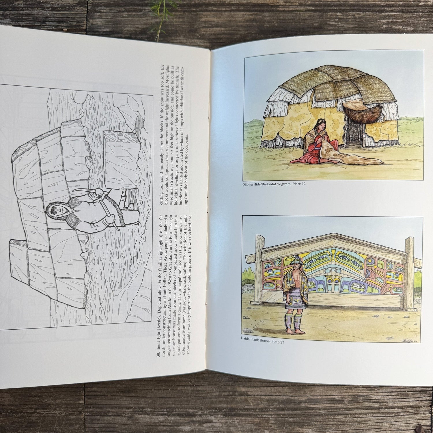 Wigwams, Longhouses and Other Native American Dwellings, Dover, 2004 - Pretty Old Books
