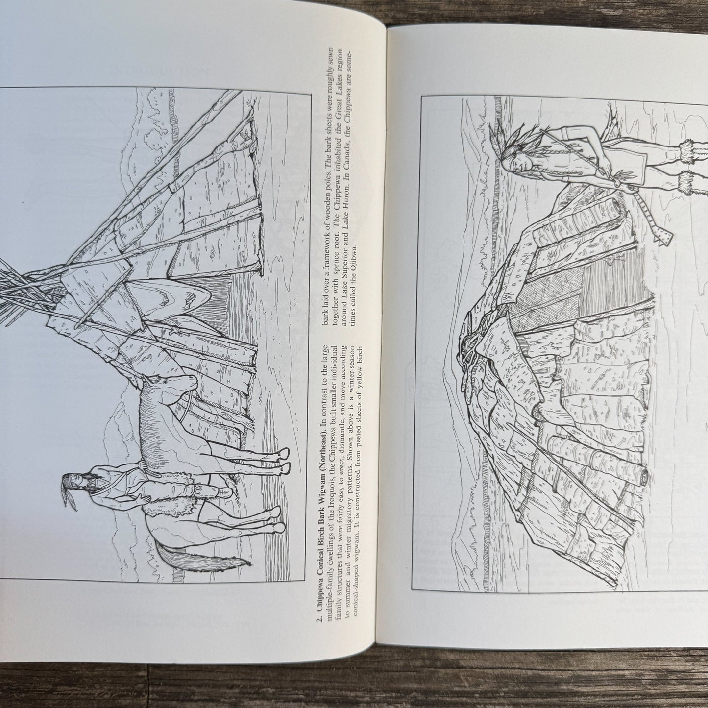 Wigwams, Longhouses and Other Native American Dwellings, Dover, 2004 - Pretty Old Books