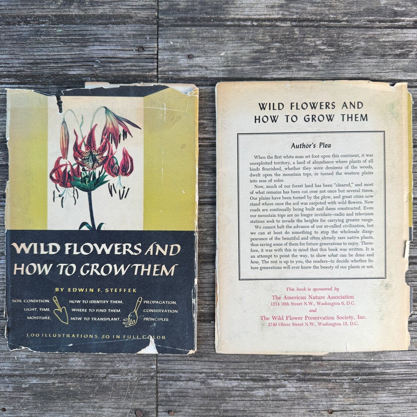 Wild Flowers and How to Grow Them, 50 Color Flower Illustrations, 1963 - Pretty Old Books